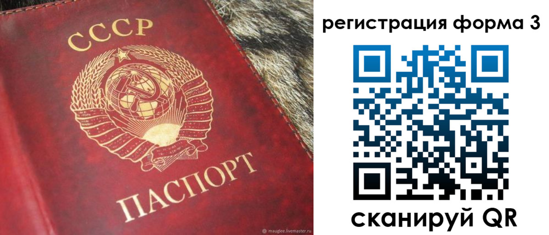 прописка регистрация в Краснокаменске